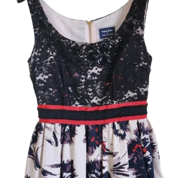 Anthropologie Peter Som Brushstroke Blossom Dress. Size 8 - Picture 4 of 10